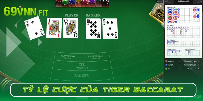 Các tỷ lệ cá cược Tiger Baccarat phổ biến mà bạn nên tham gia 